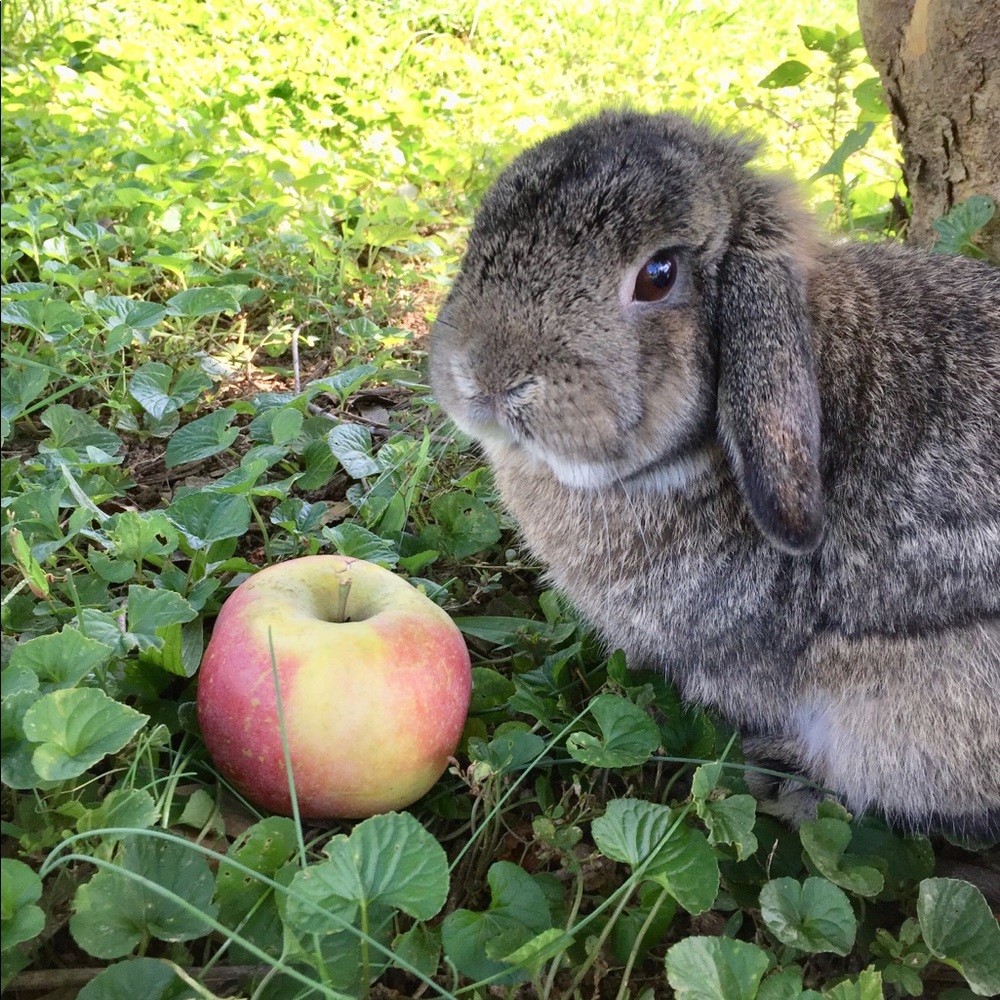Meet your Posher, Gabbi